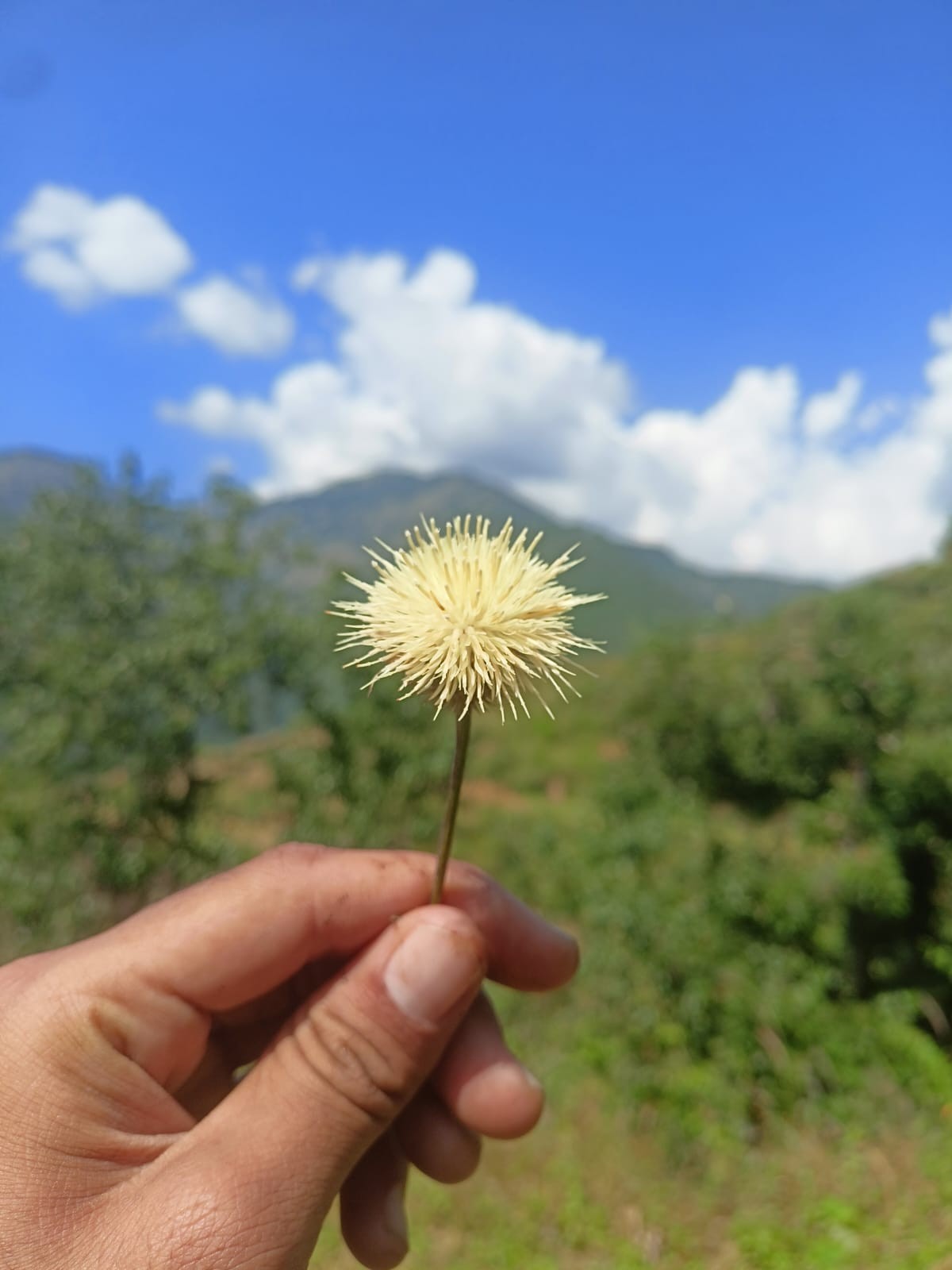 Khanera village, Uttarkashi