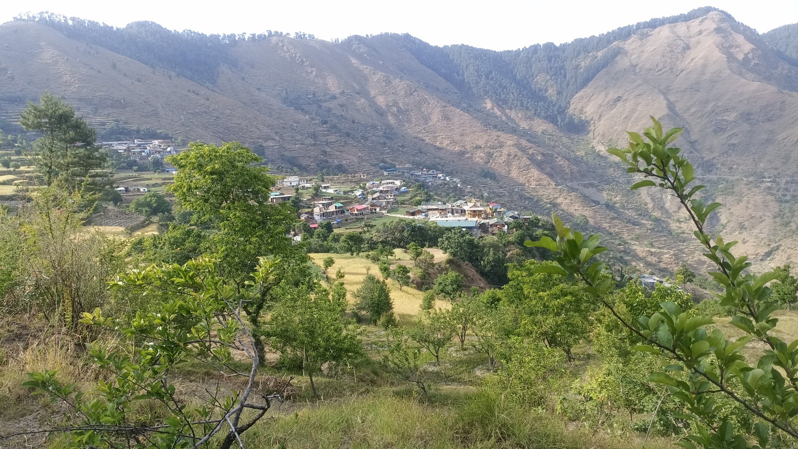 Bajlari village, Uttarkashi