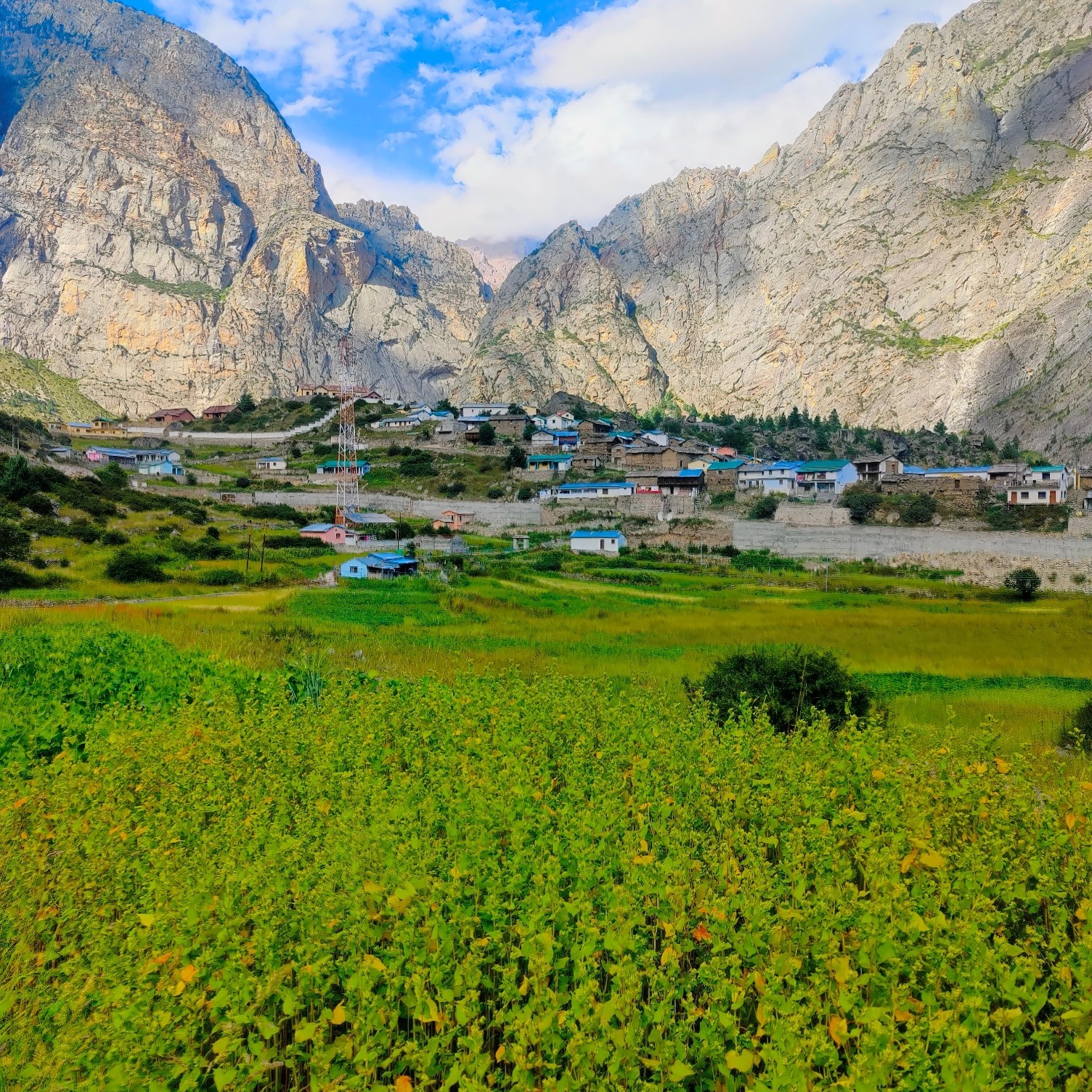 Bampa village, Chamoli