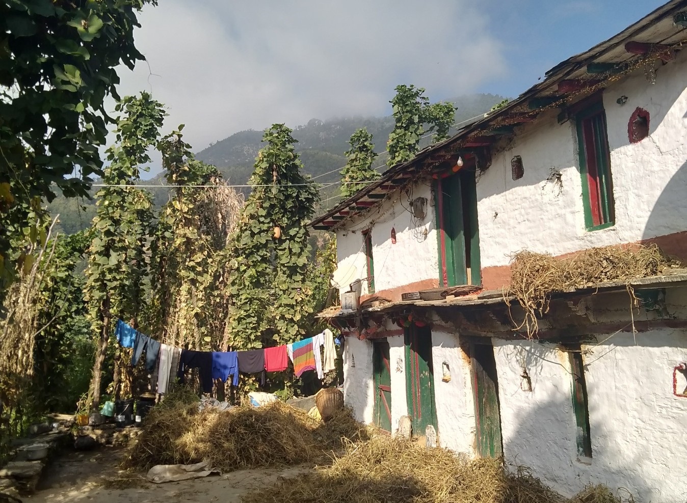 Chhatauli village, Chamoli