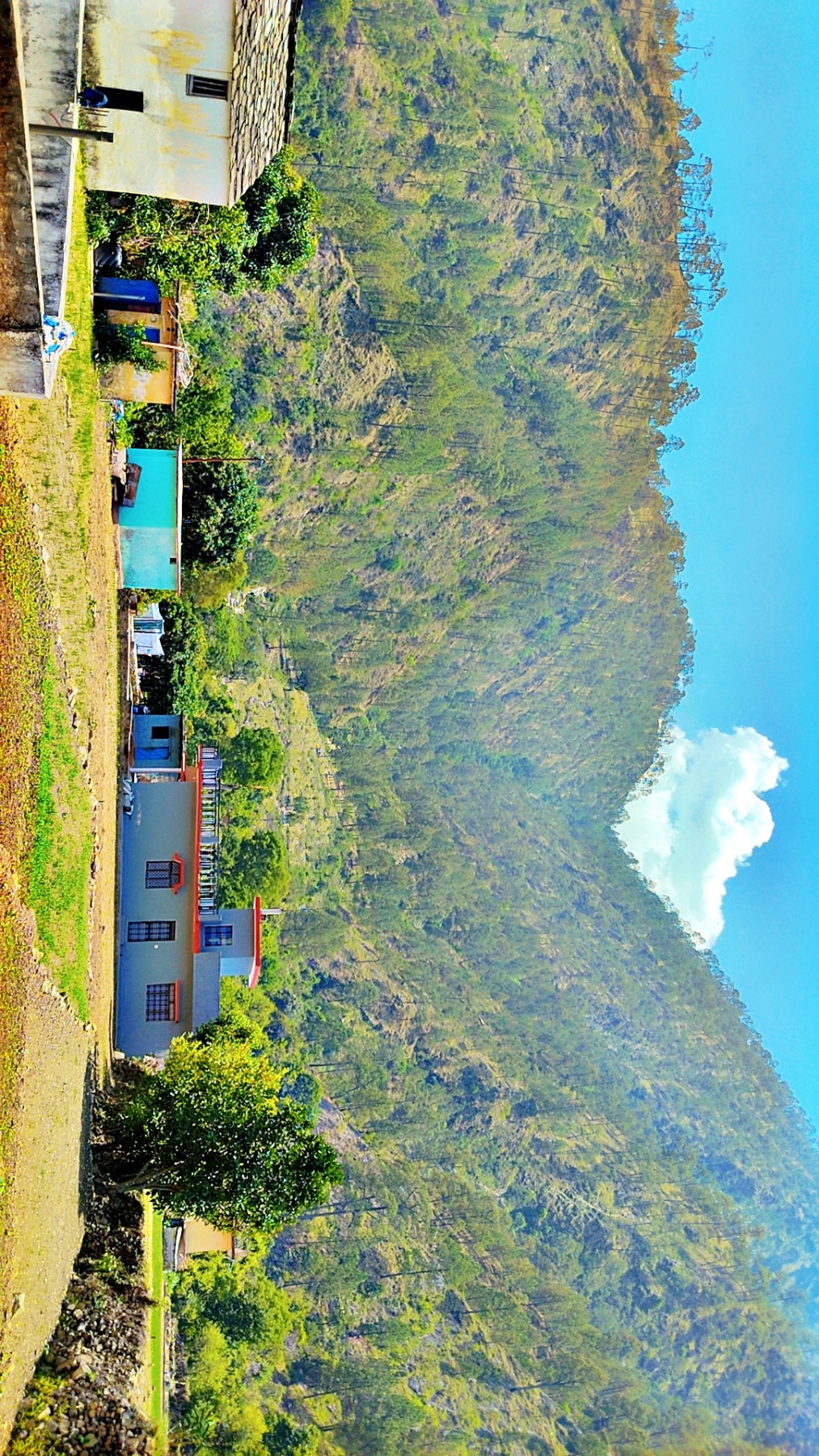 Nalgaon Sirgur village, Chamoli
