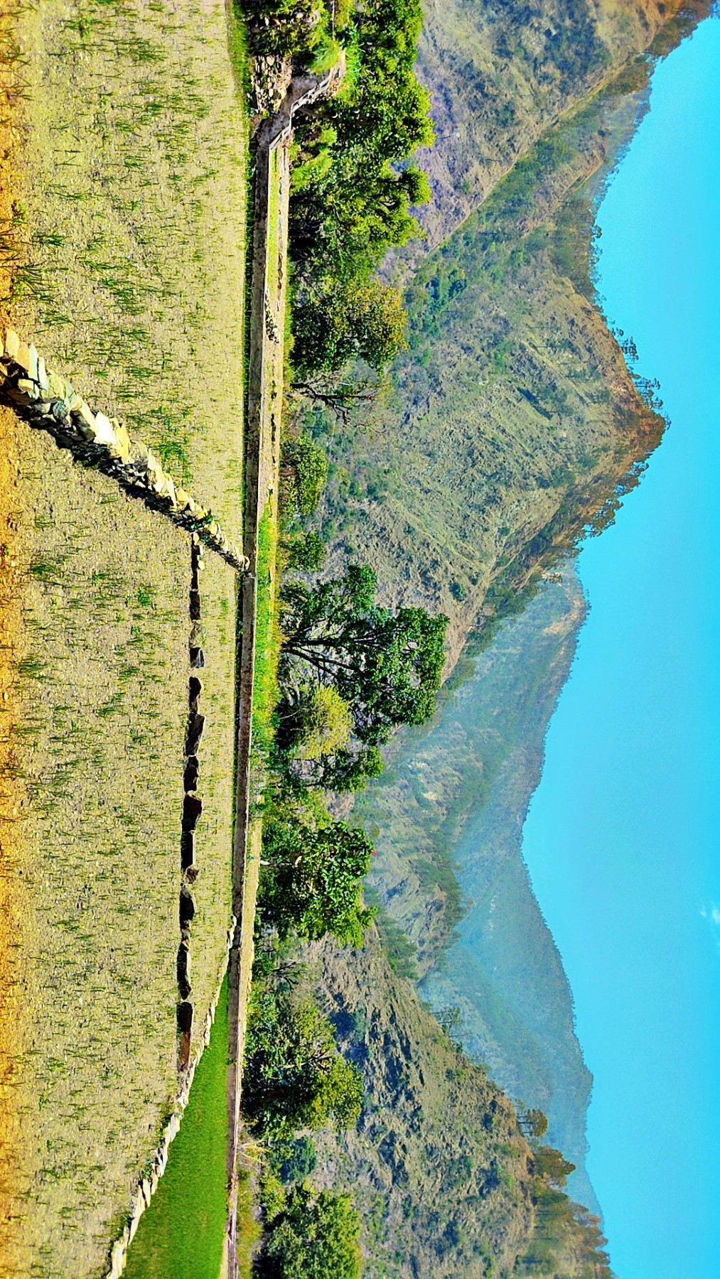 Nalgaon Sirgur village, Chamoli