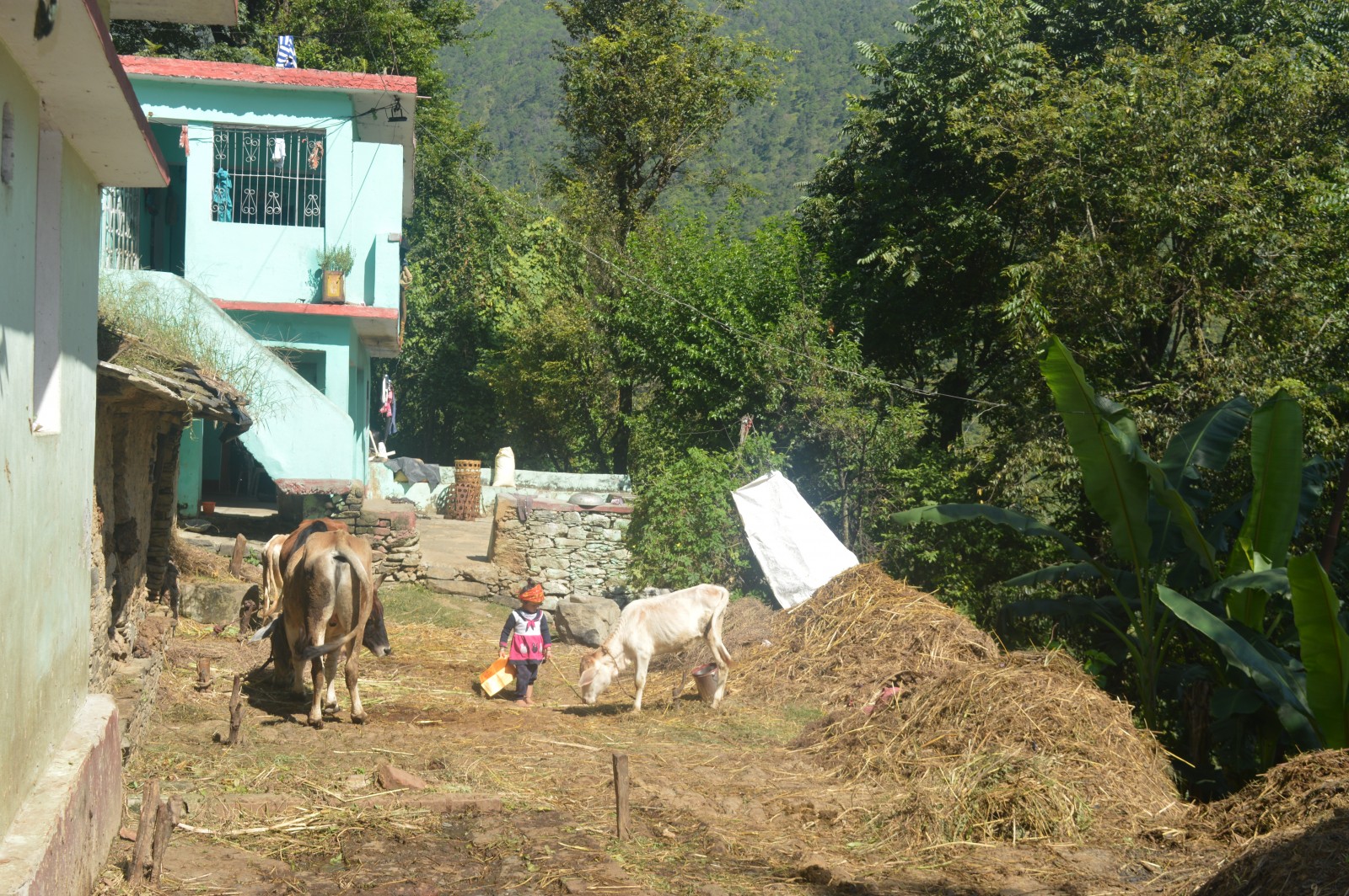 Adra village, Chamoli