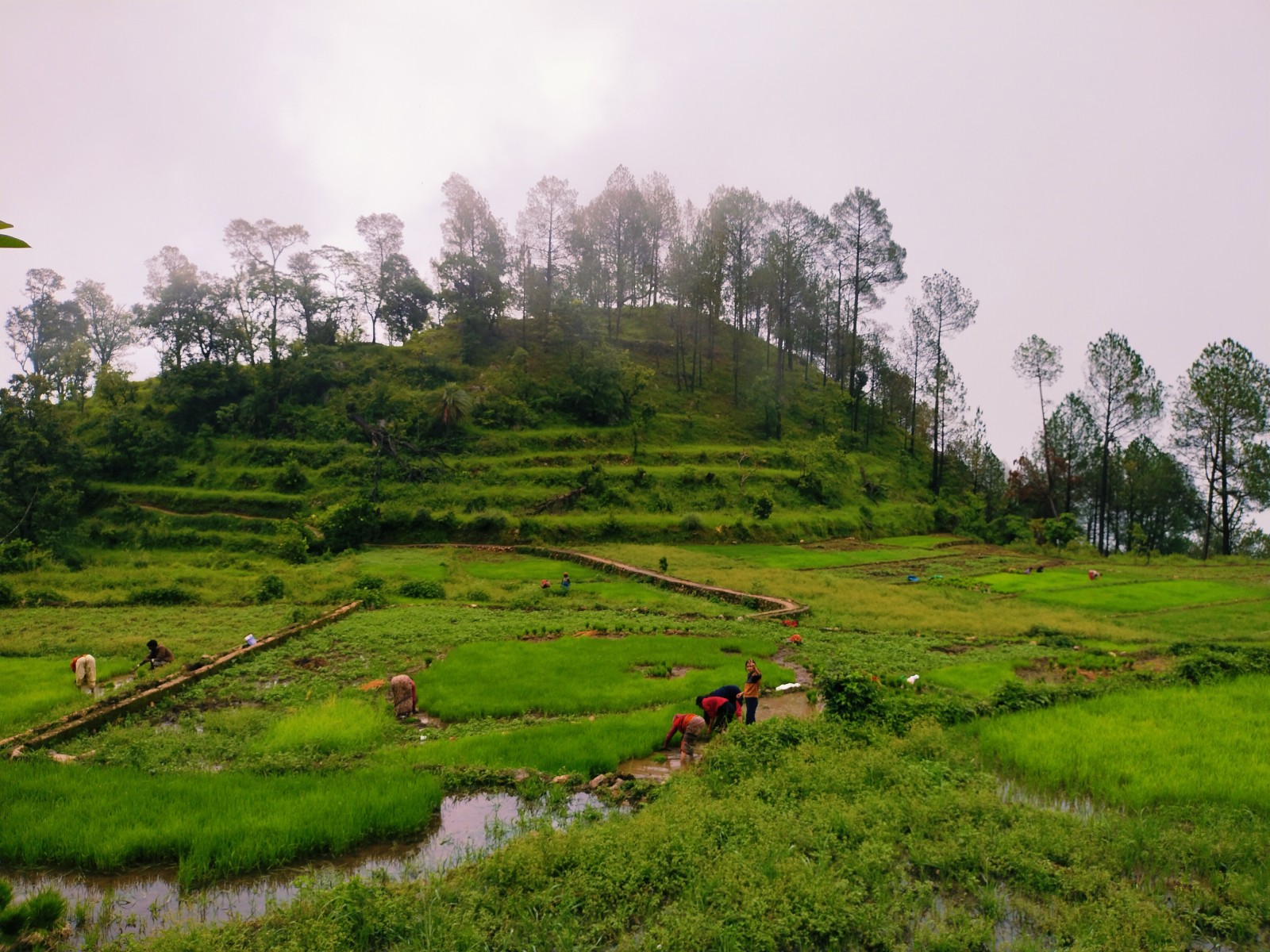 Jasoli village, Rudraprayag