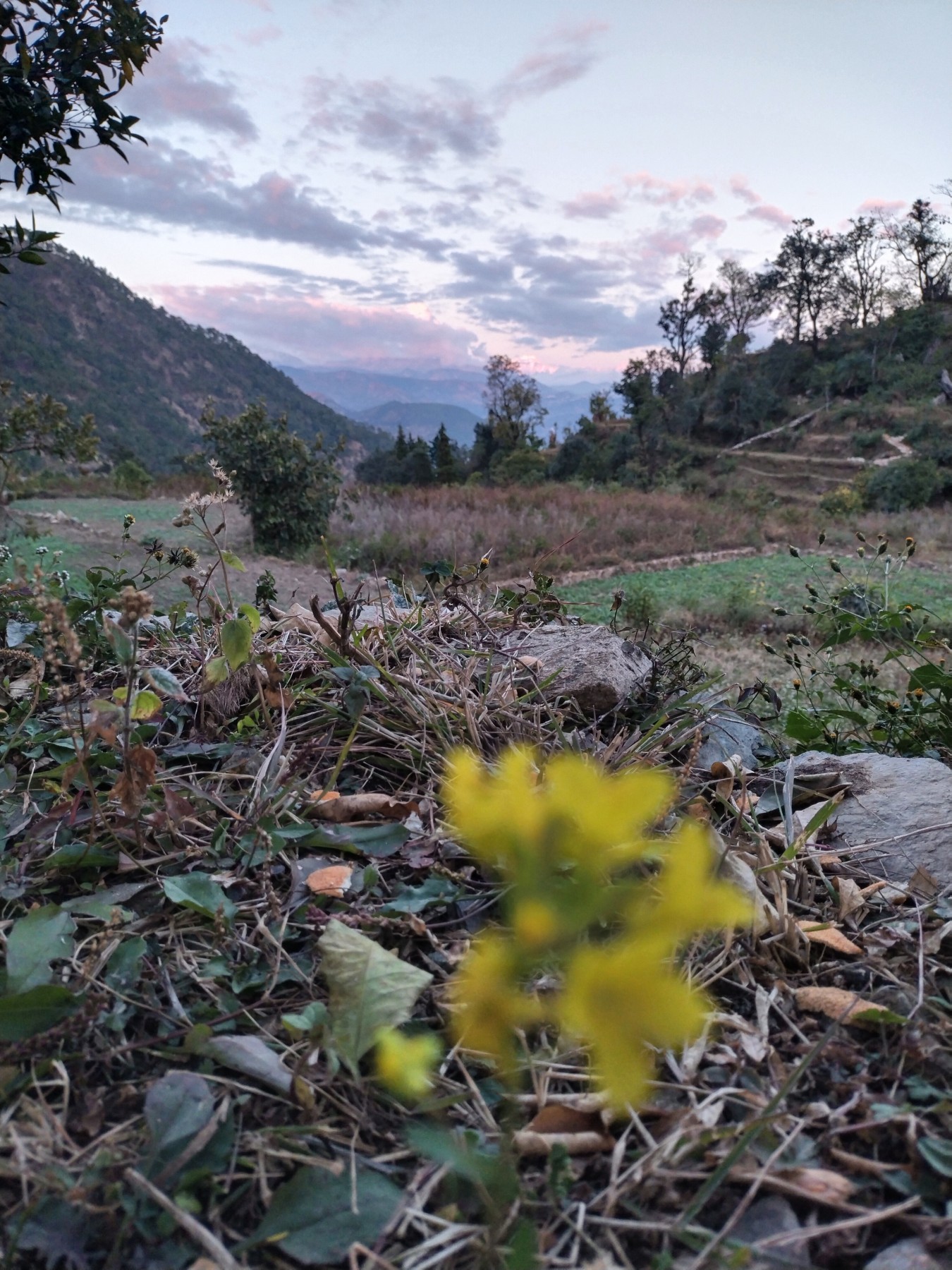 Jasoli village, Rudraprayag