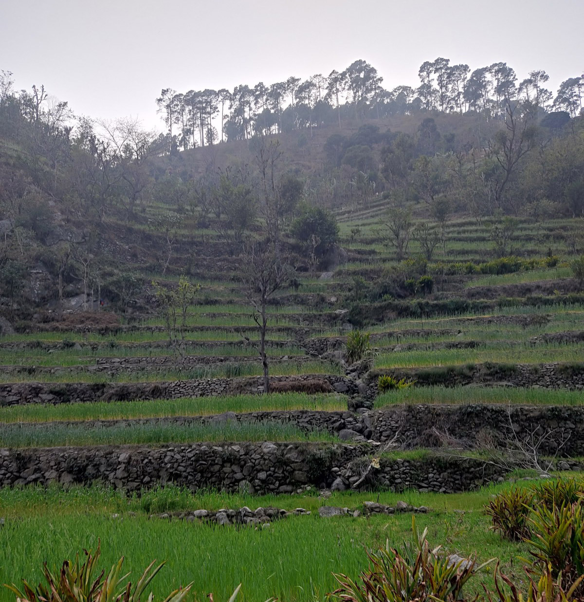 Bainoli village, Rudraprayag