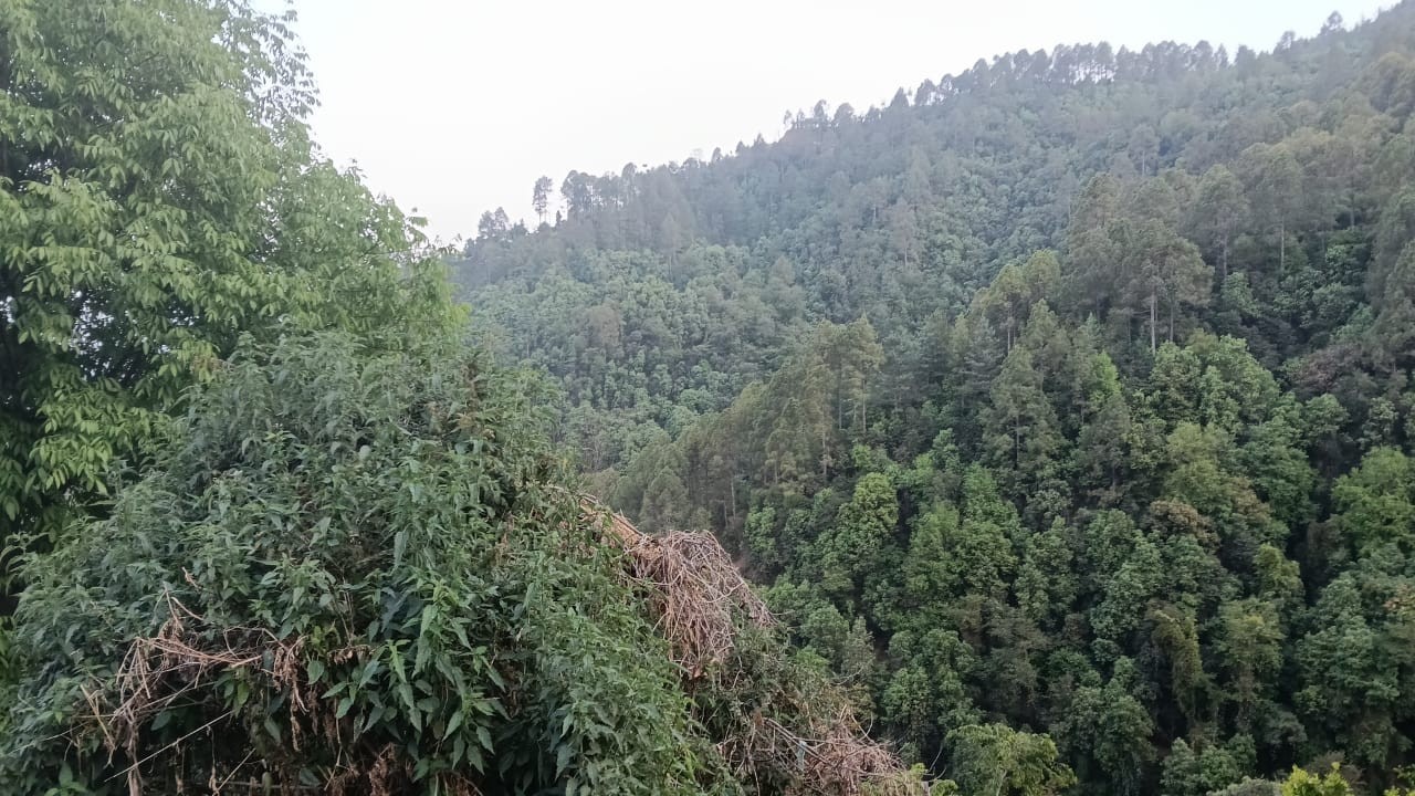 Dhangar Gaon village, Tehri Garhwal