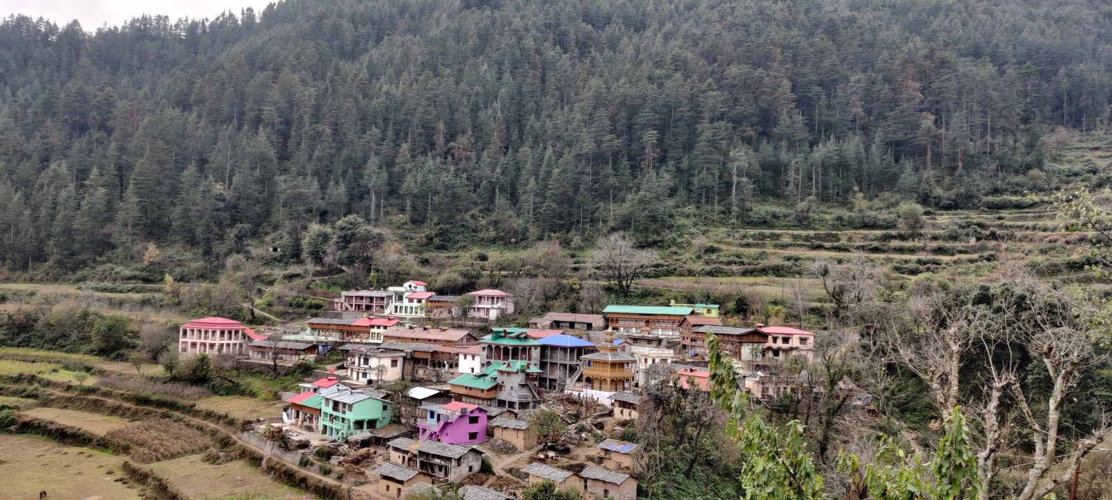 Nagou village, Dehradun