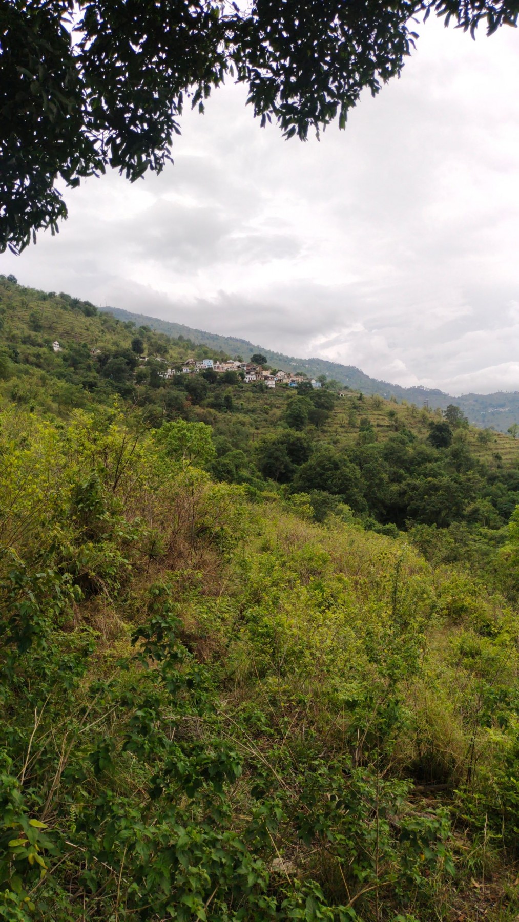 Bajun village, Pauri Garhwal