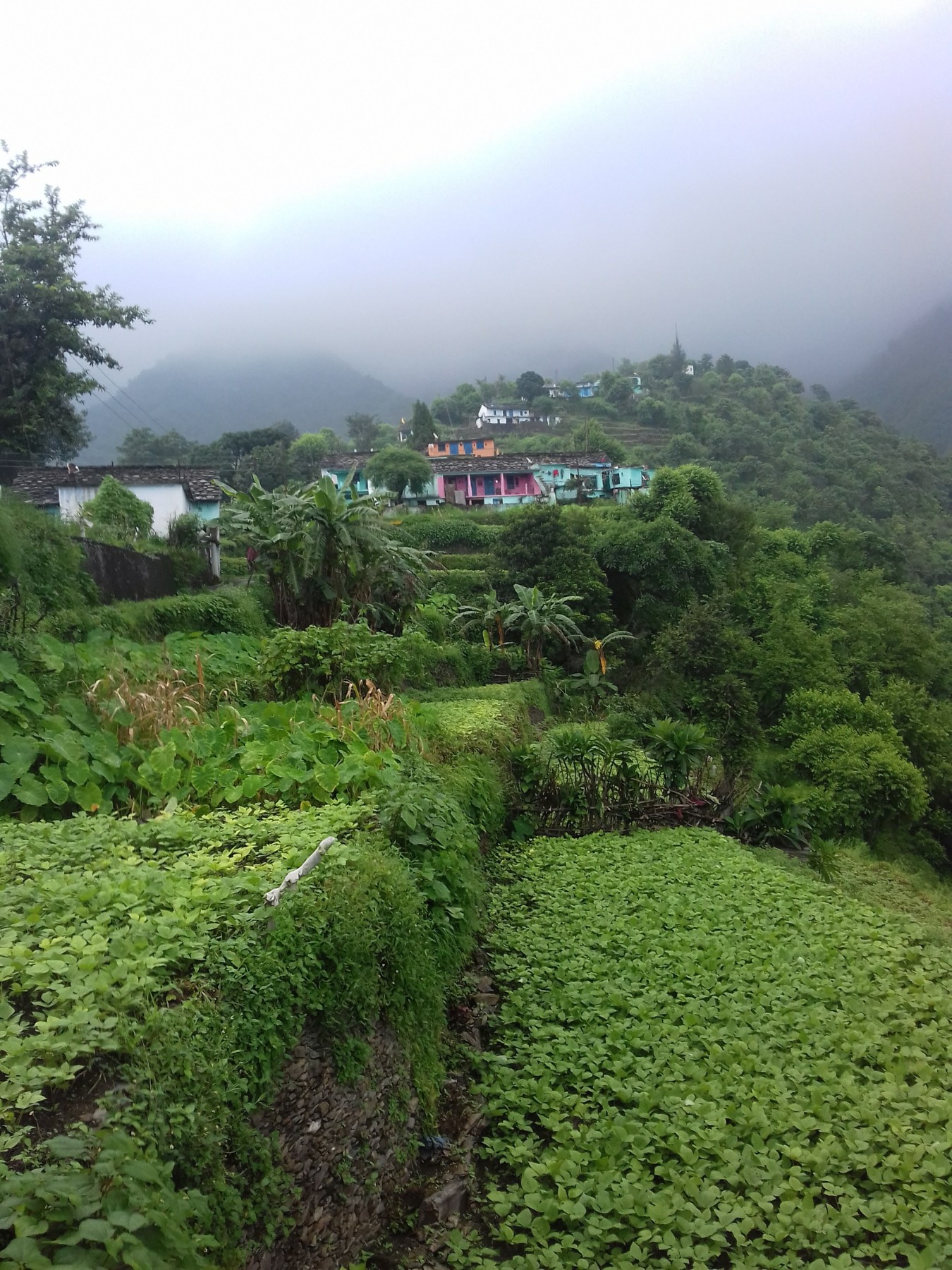 Silsu Talla village, Pauri Garhwal