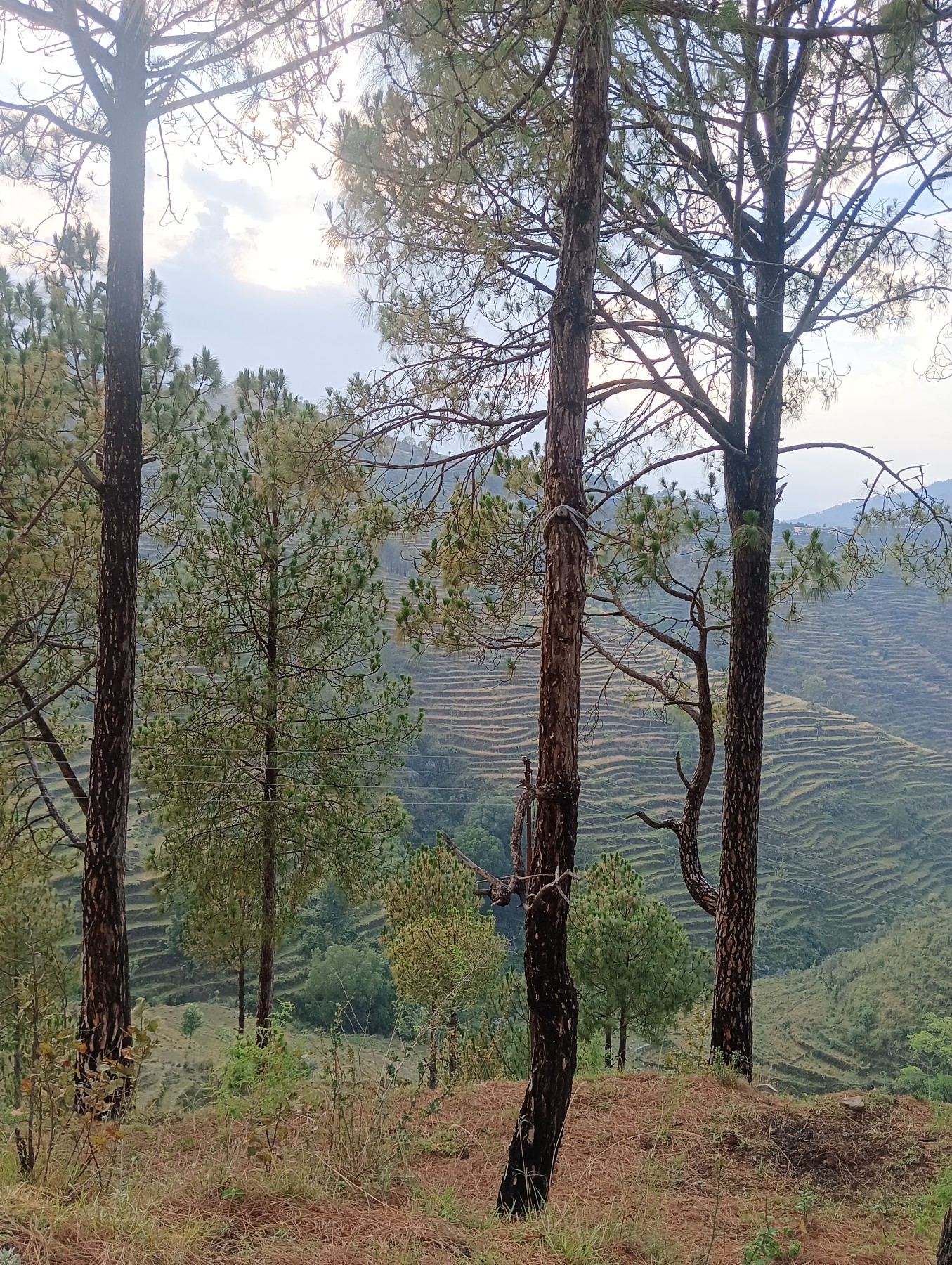 Bangaon Talla village, Pauri Garhwal