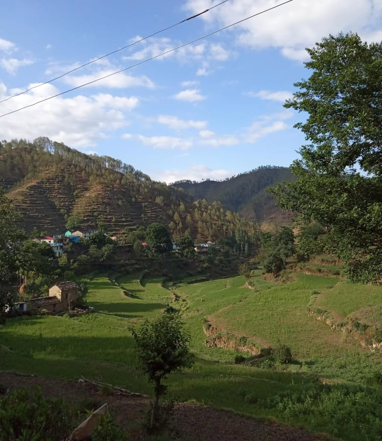 Uregi village, Pauri Garhwal