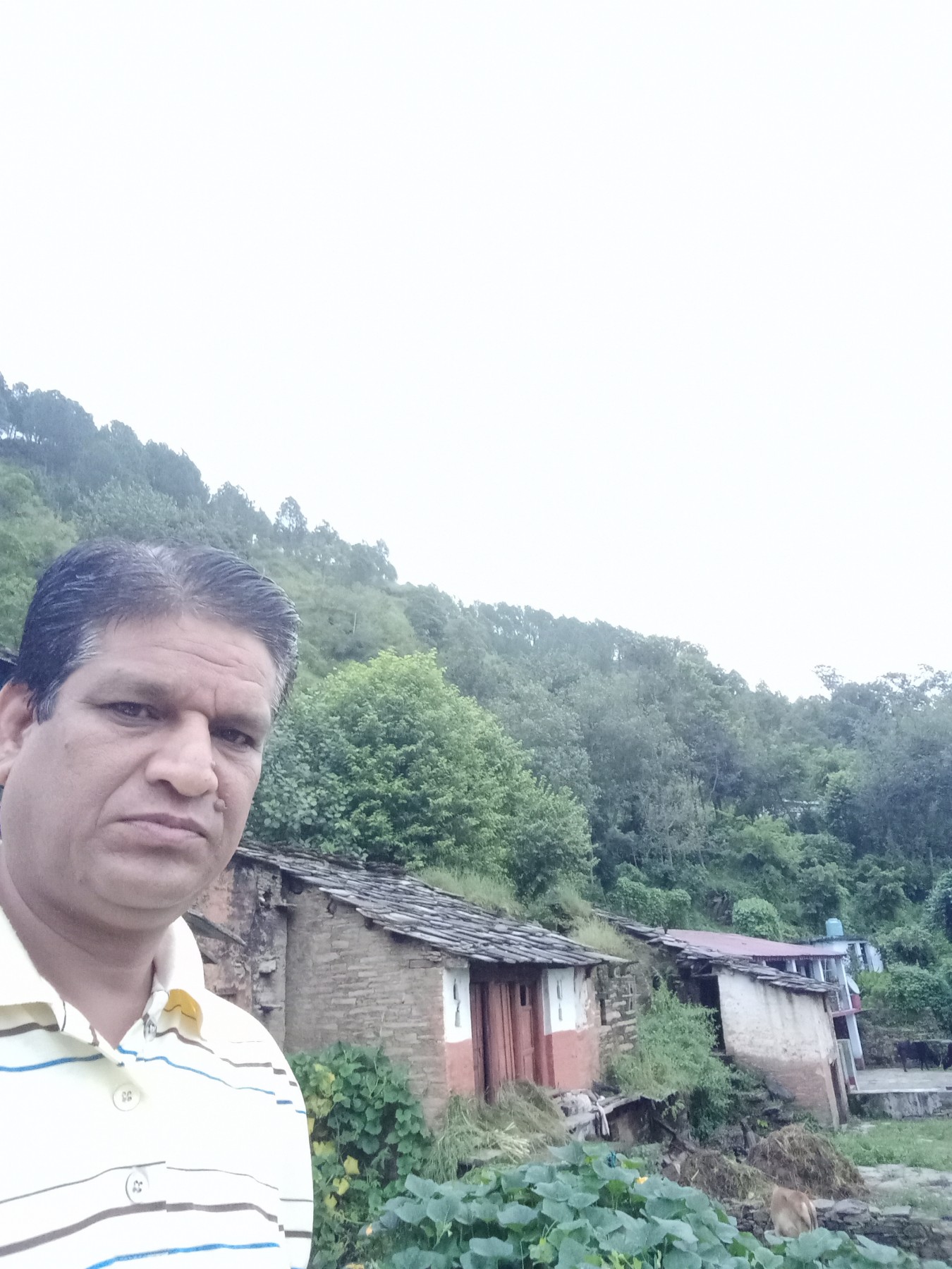 Uregi village, Pauri Garhwal