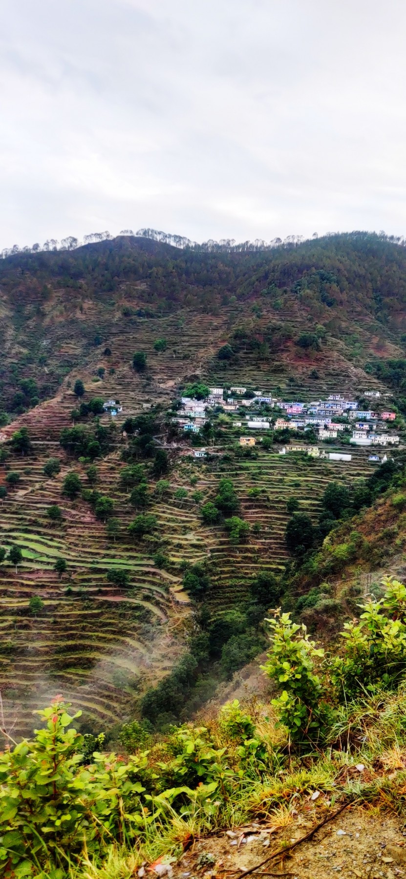 Kyardh village, Pauri Garhwal