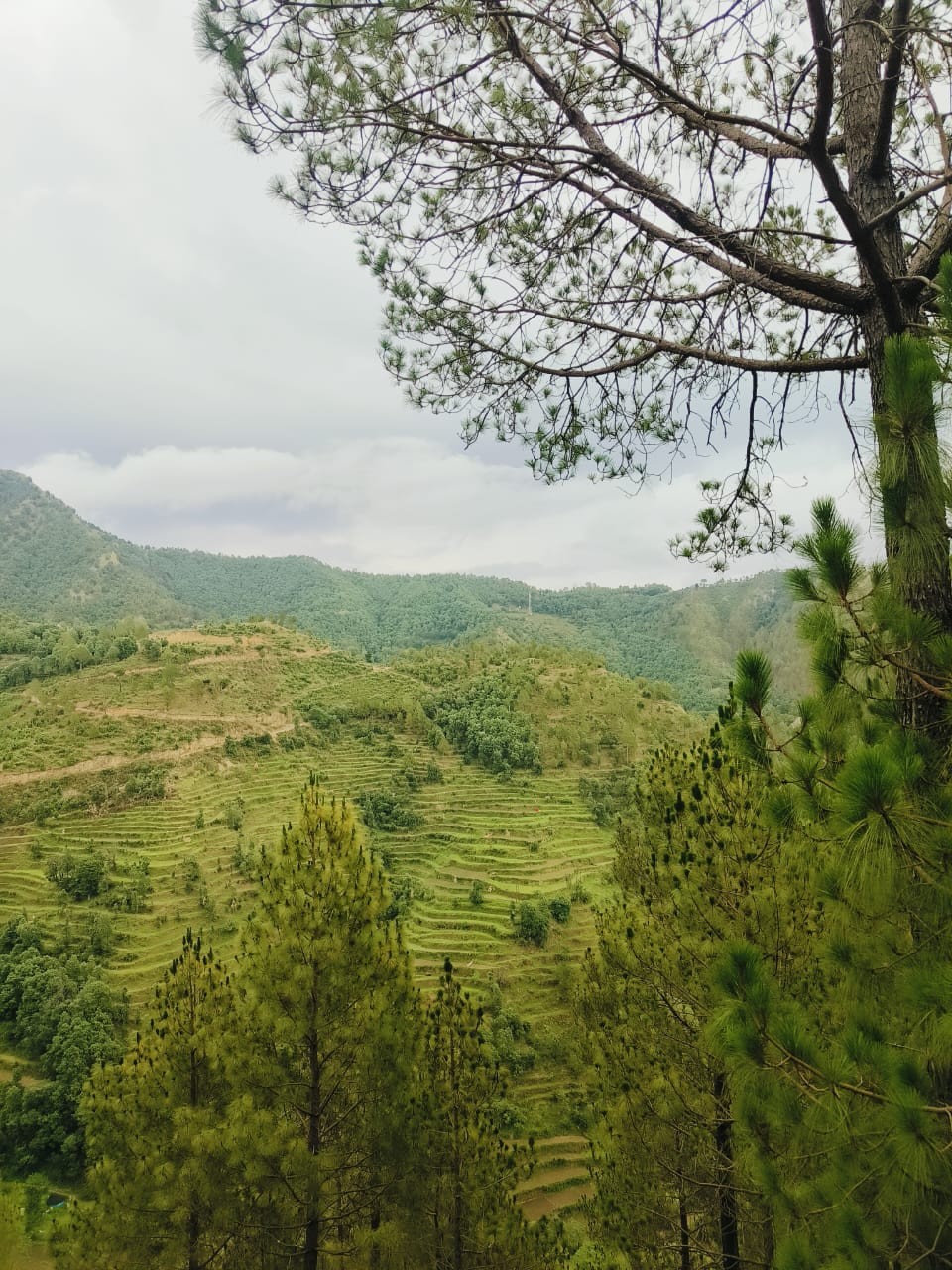 Bhourad village, Pauri Garhwal