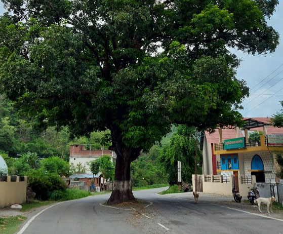 Amotha village, Pauri Garhwal
