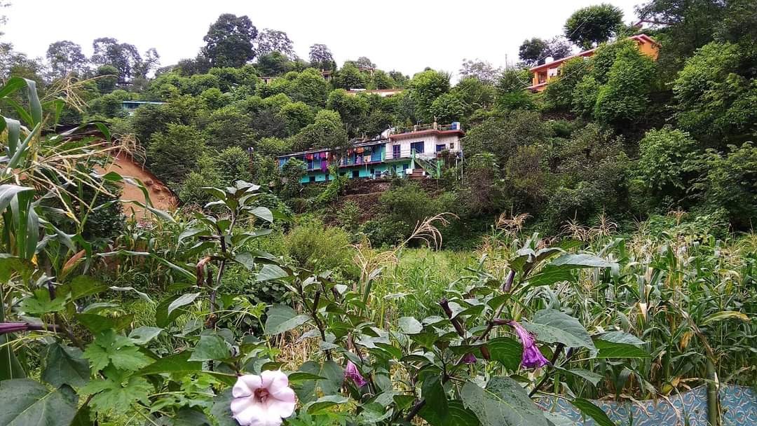 Syoli village, Pauri Garhwal