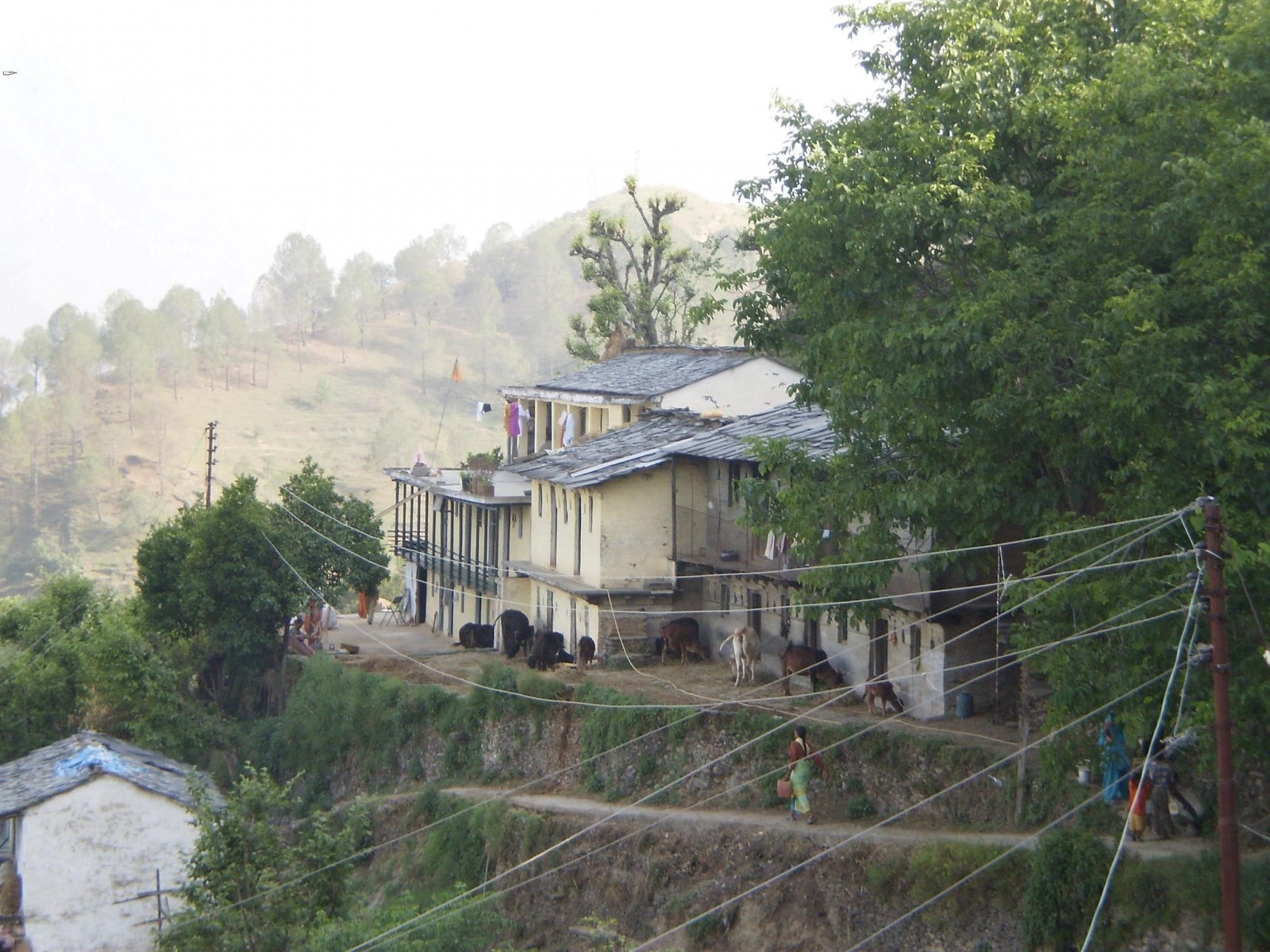Gadoli village, Pauri Garhwal
