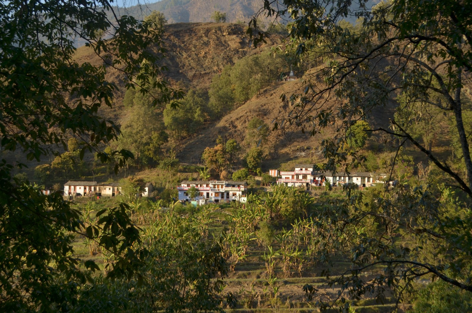 Para Kote village, Pithoragarh