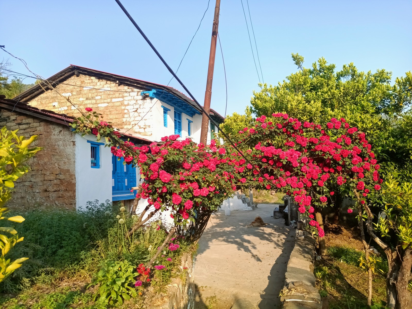 Barakot village, Pithoragarh