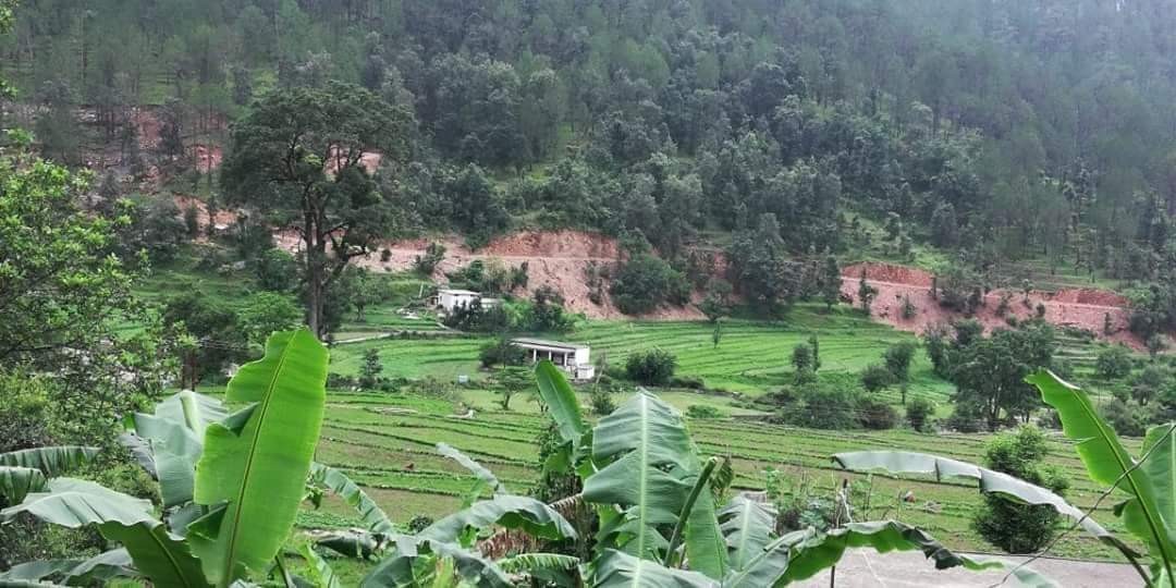 Nargoli village, Bageshwar