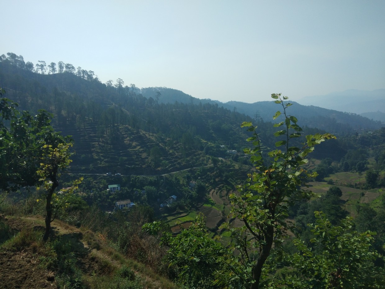 Sirkot village, Bageshwar
