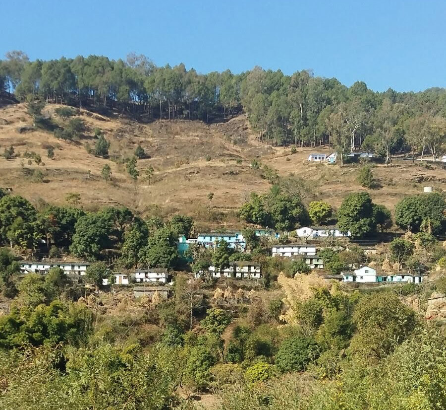 Malli Chamyart village, Almora