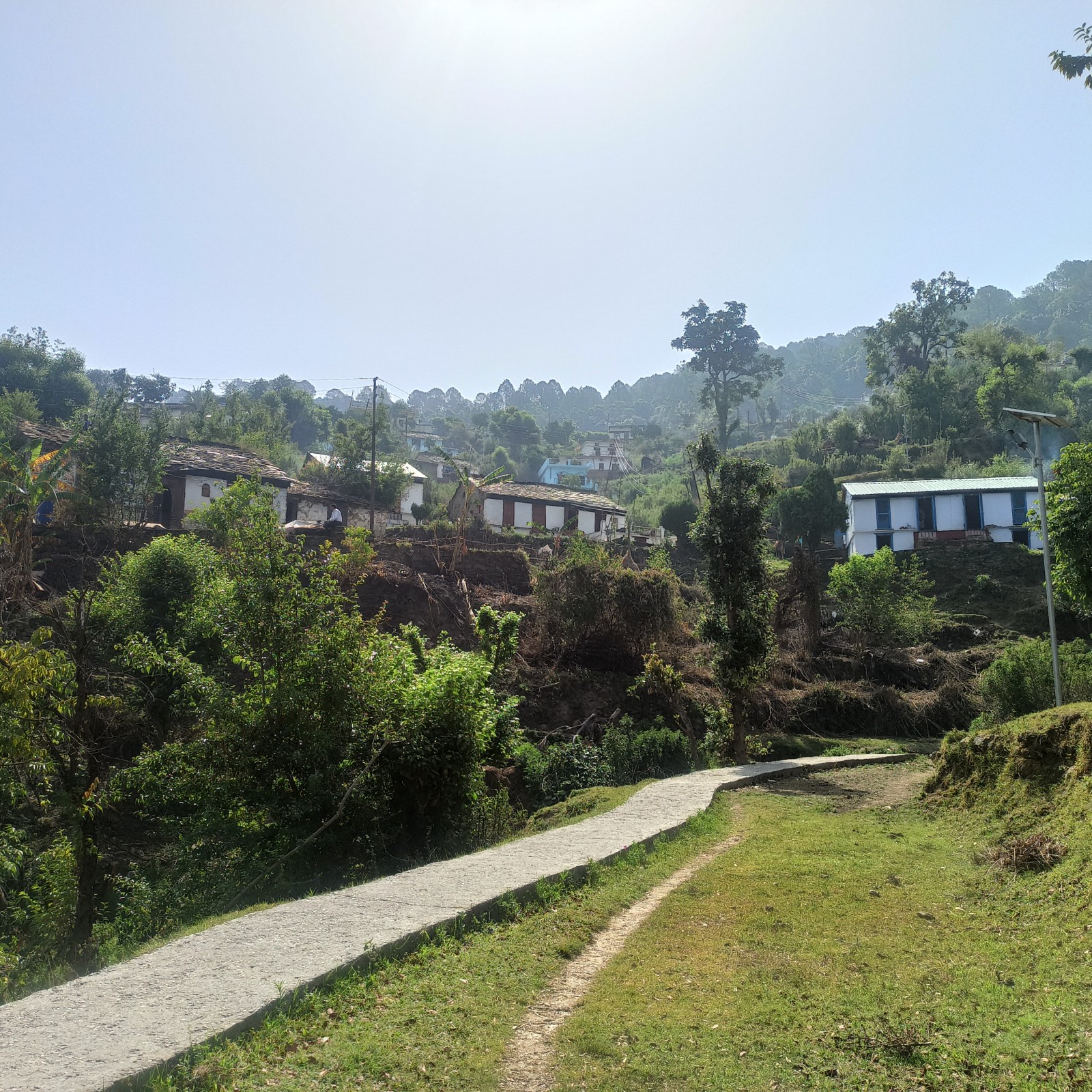 Pantgaon village, Almora