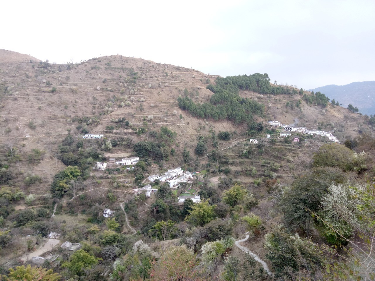 Thalmarh village, Almora
