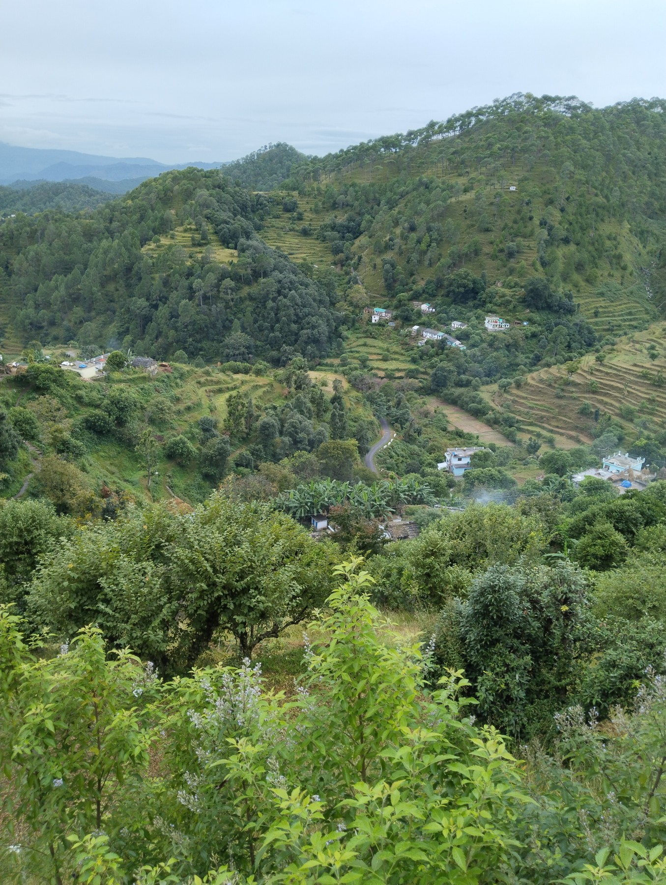 Jakh village, Almora