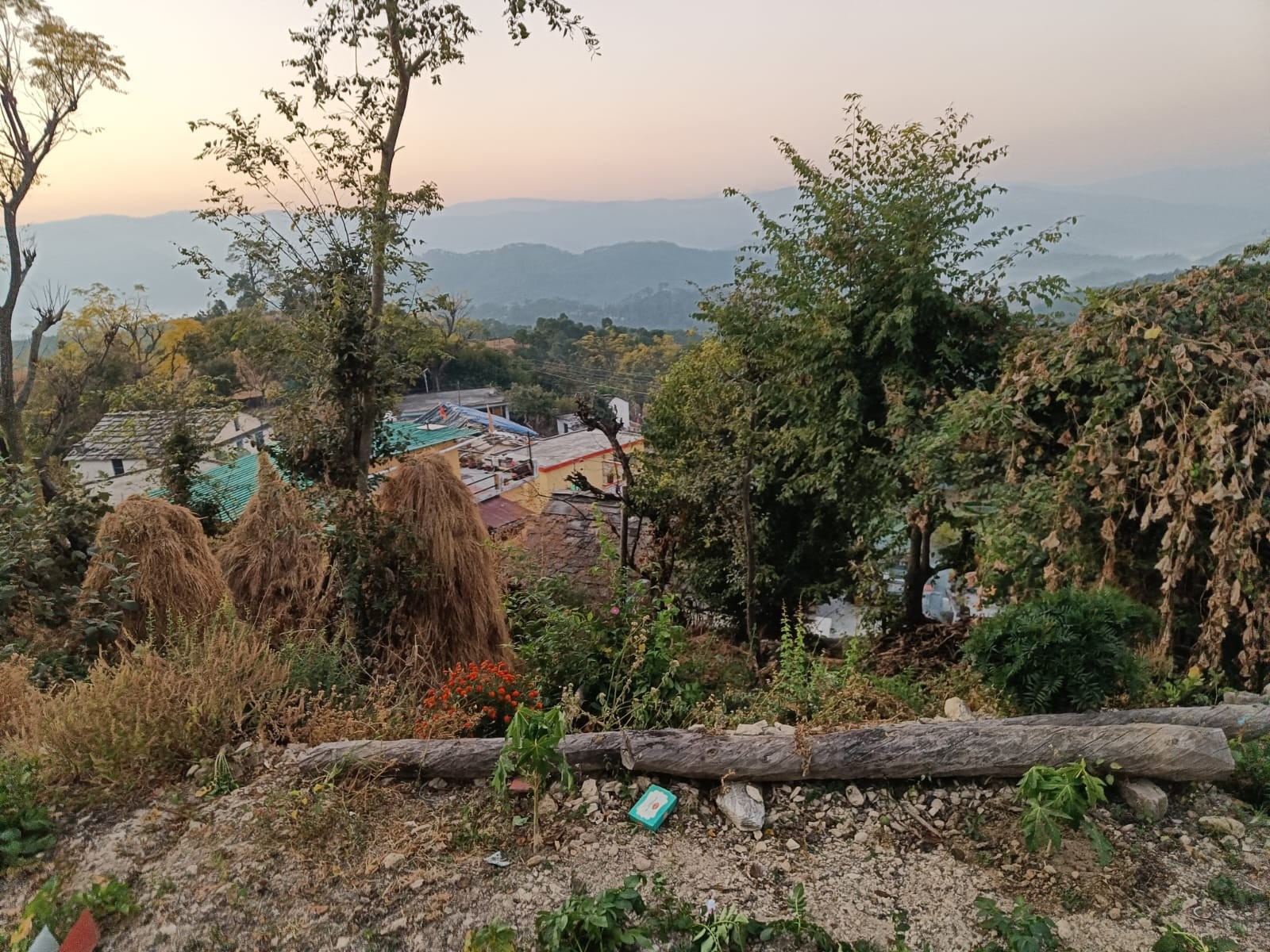 Kunthari village, Almora