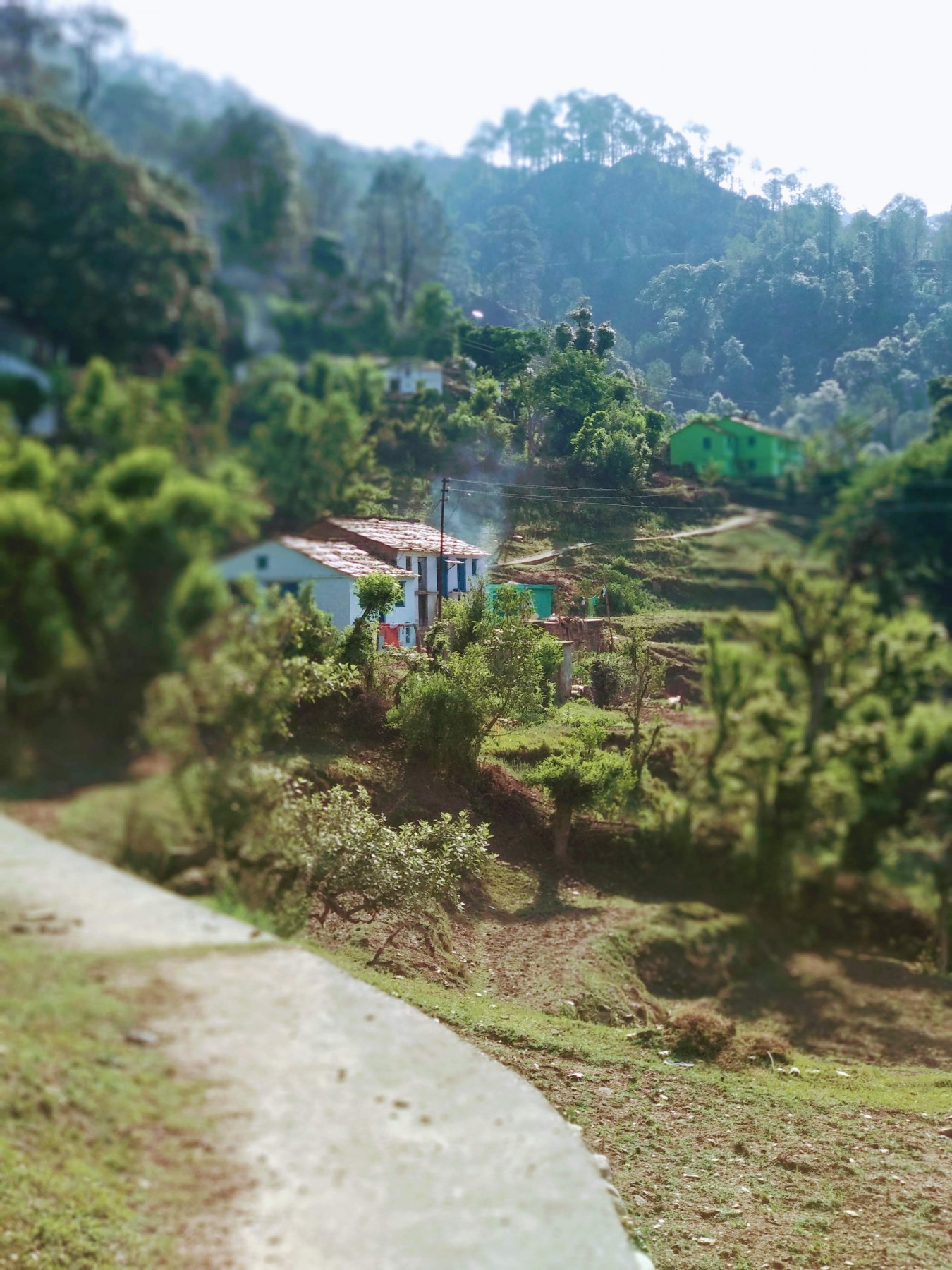 Chinona village, Almora