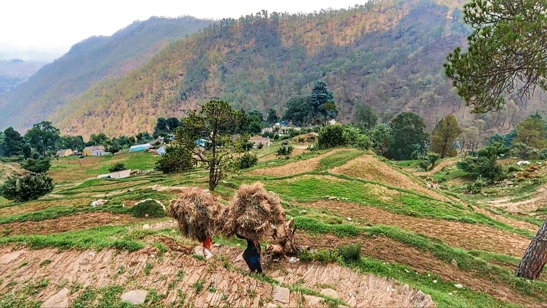 Malta village, Almora