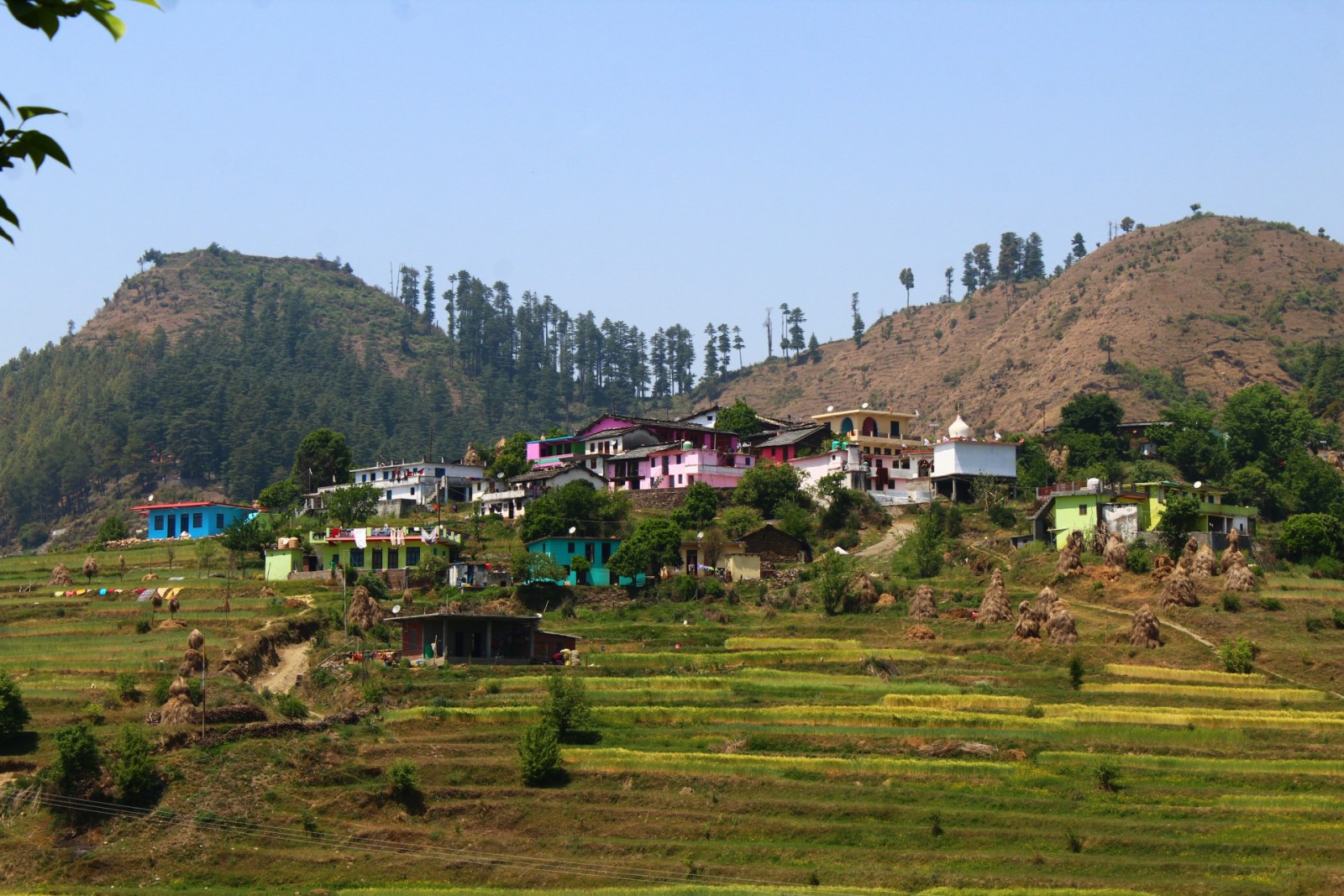 Lohaghat Range village, Champawat