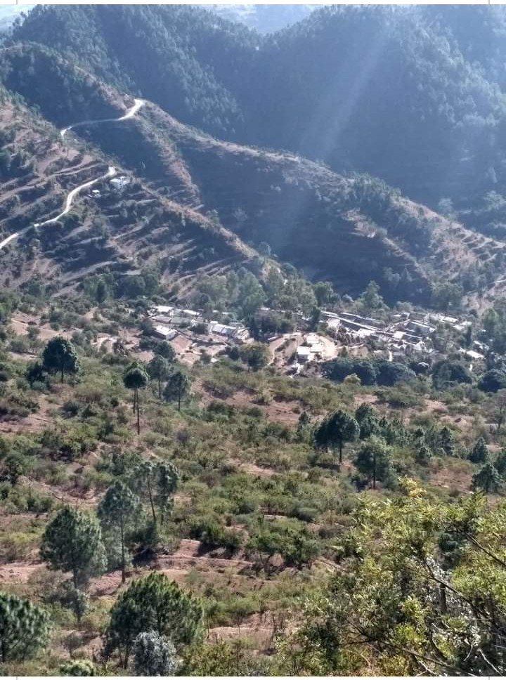 Dholgaon village, Nainital