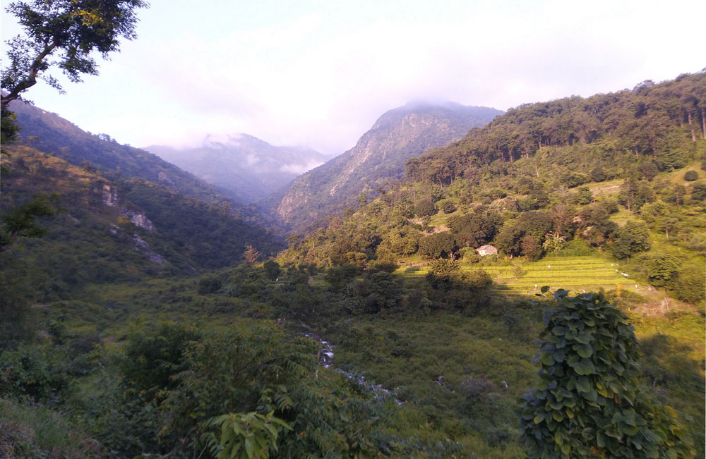 Amgarhi village, Nainital