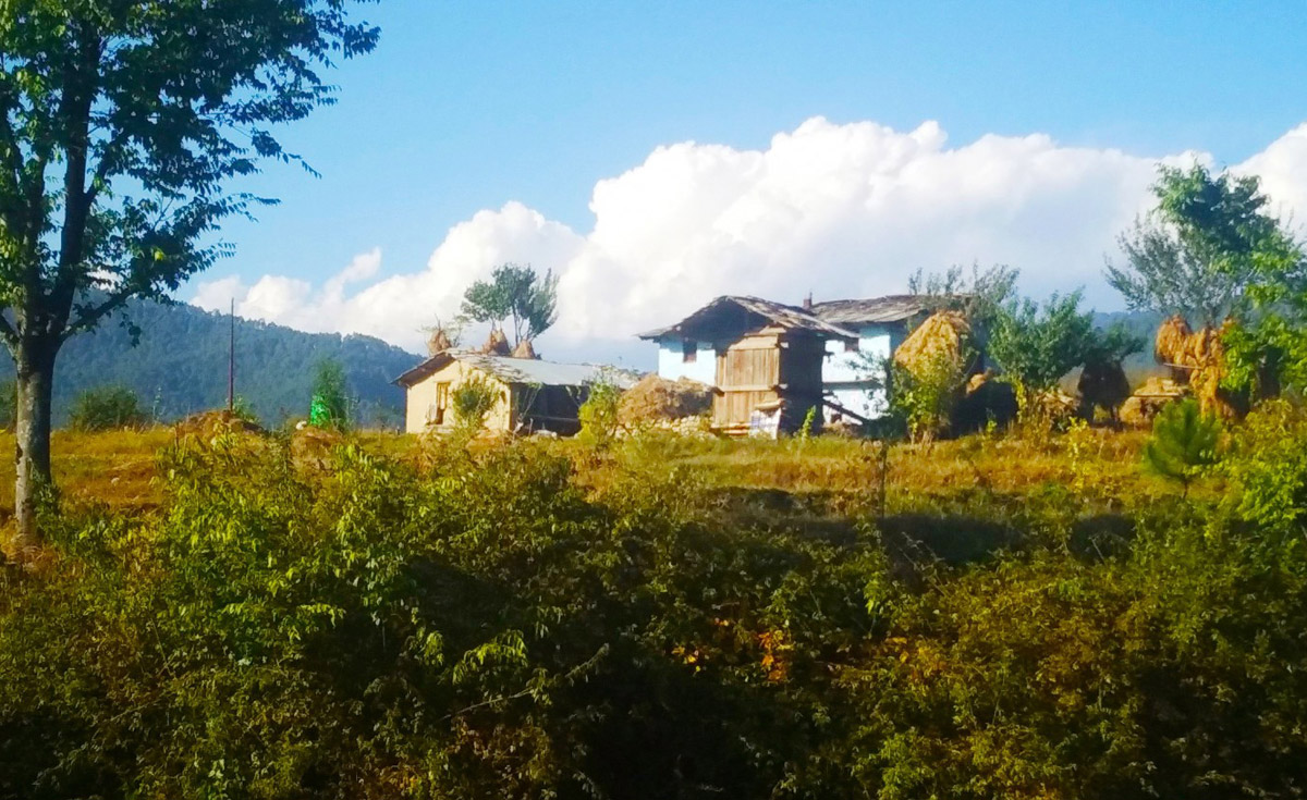 Mukteshwar village, Nainital