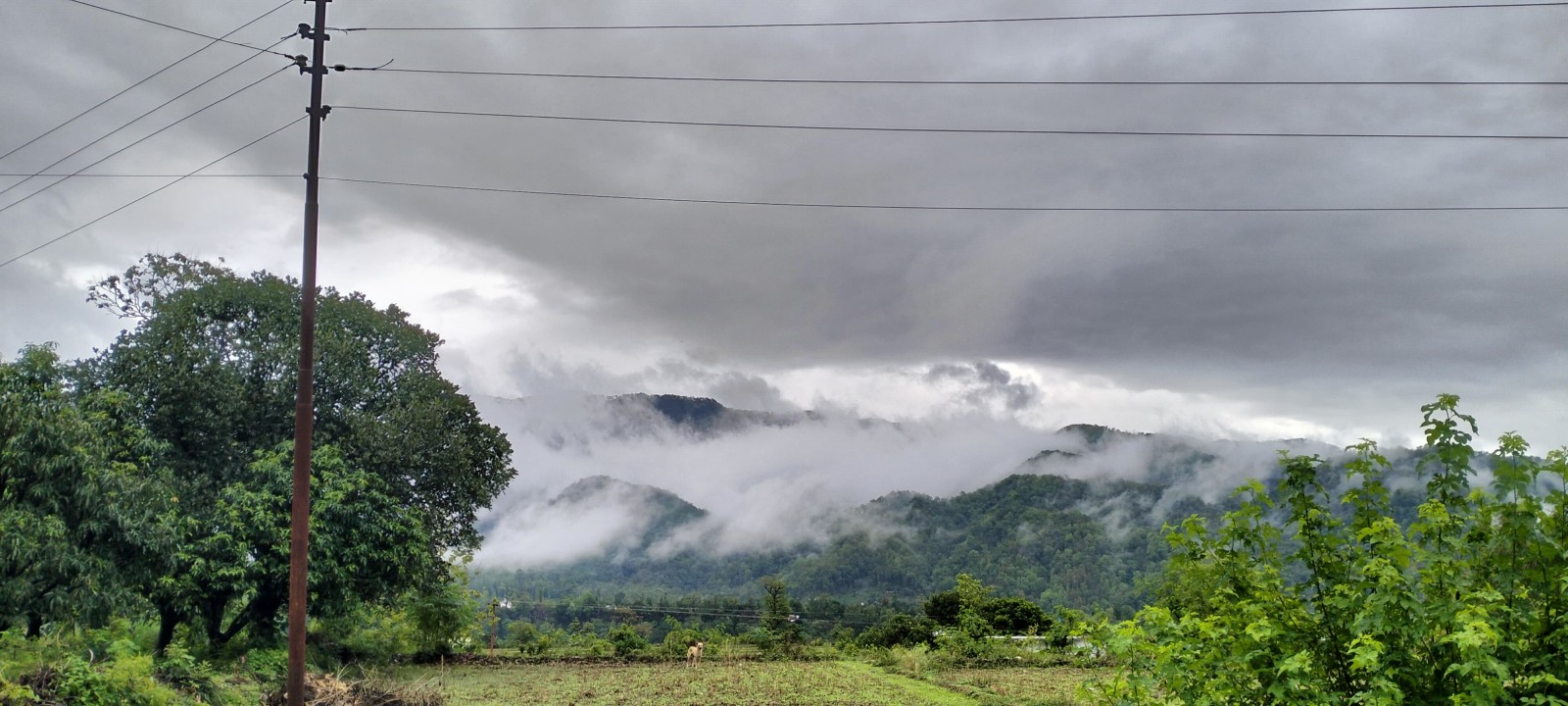 Pataliya village, Nainital