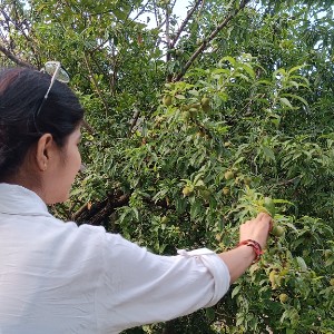 Shivani Rawat